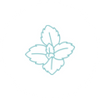 Peppermint Oil