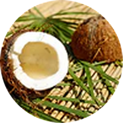 Coconut Oil