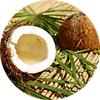 Coconut Oil